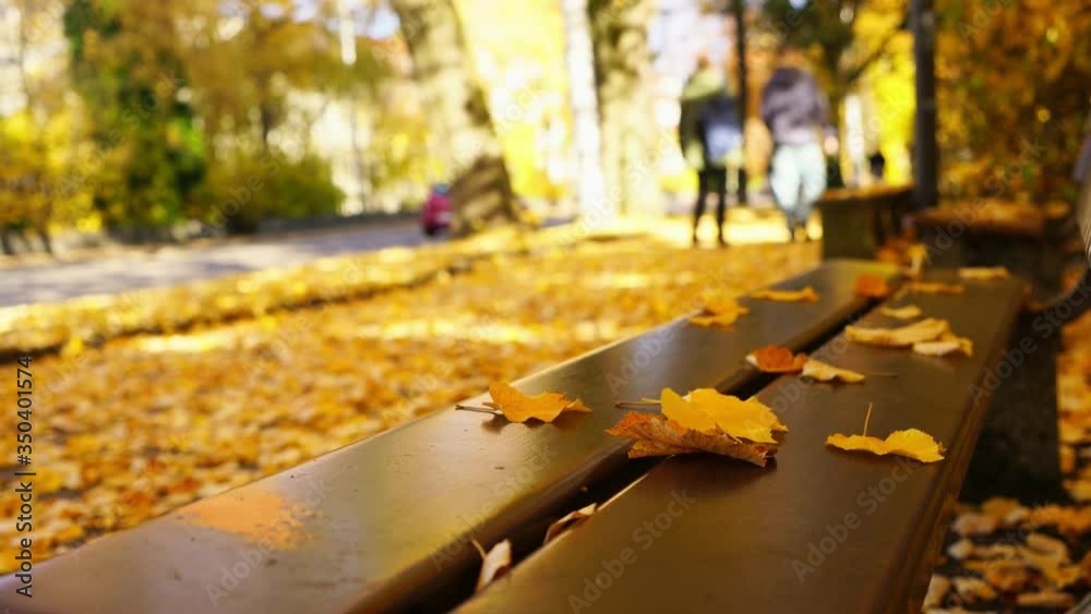 Leaves on autumnal park bench. Pedestrians walking on the path with leaves 