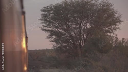 Train moving by tress and plants on landscape against sky during sunset - Swakopmund, Namibia photo