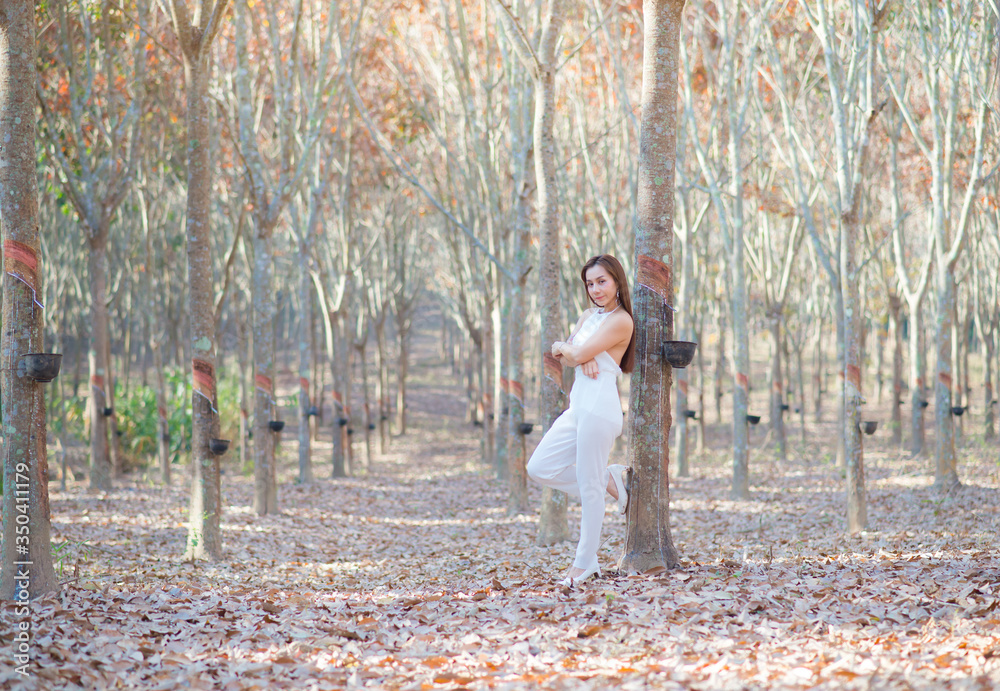Fototapeta premium Beautiful happy asian woman admiring nature with rubber tree in summer.