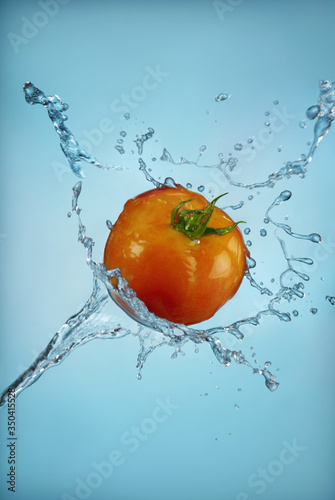Tomato with splashing water against a blue background