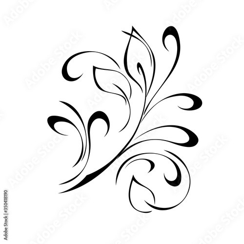 ornament 1169. unique stylized twig with leaves and curls in black lines on a white background