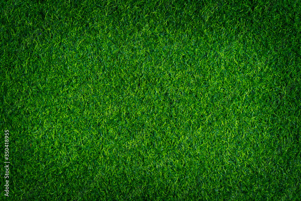 Obraz premium Artificial grass background