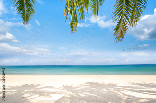 Fototapeta Naklejka Na Ścianę i Meble -  tropical beach with coconut palm trees