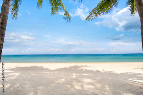tropical beach with palm trees © BUDDEE