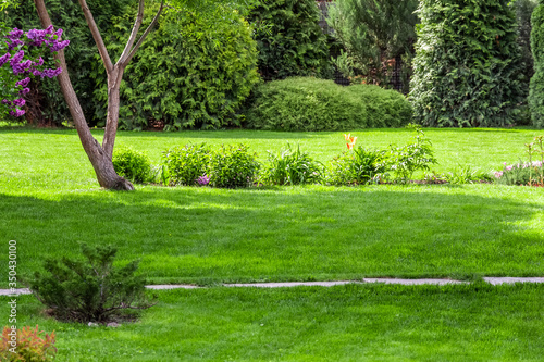 Freshly cut grass in the backyard of a private house.