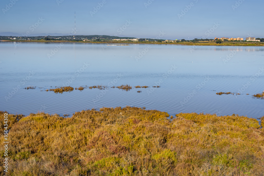 La Mata Lake Nature Reserve near Torrevieja. Alicante province. Spain La Mata Lake Nature Reserve near Torrevieja. Alicante province. Spain