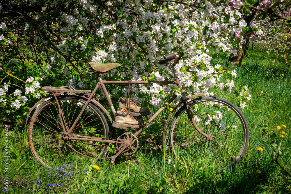 Old bicycle with pair of hiking boots in a garden