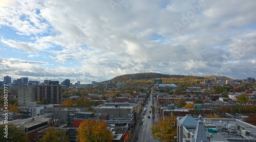 Wide view from the 10th floor of Mont Royal  the Plateau area  the Ville Marie area  and Down-Town. The north-east side of mount Royal. Perspective of Rachel street towards the mountain.