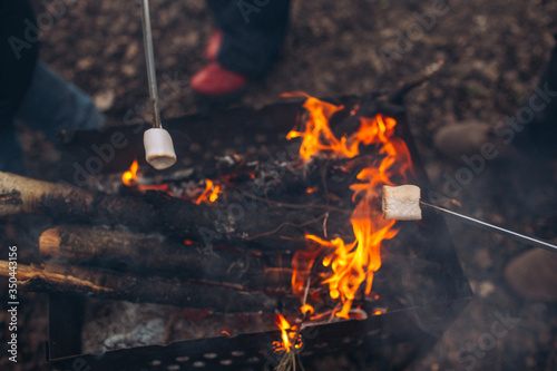People grilling marshmallow on bonfire