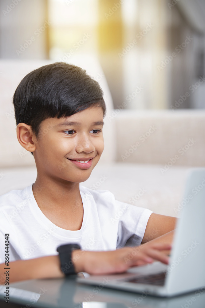 Fototapeta Boy smiling at his laptop screen