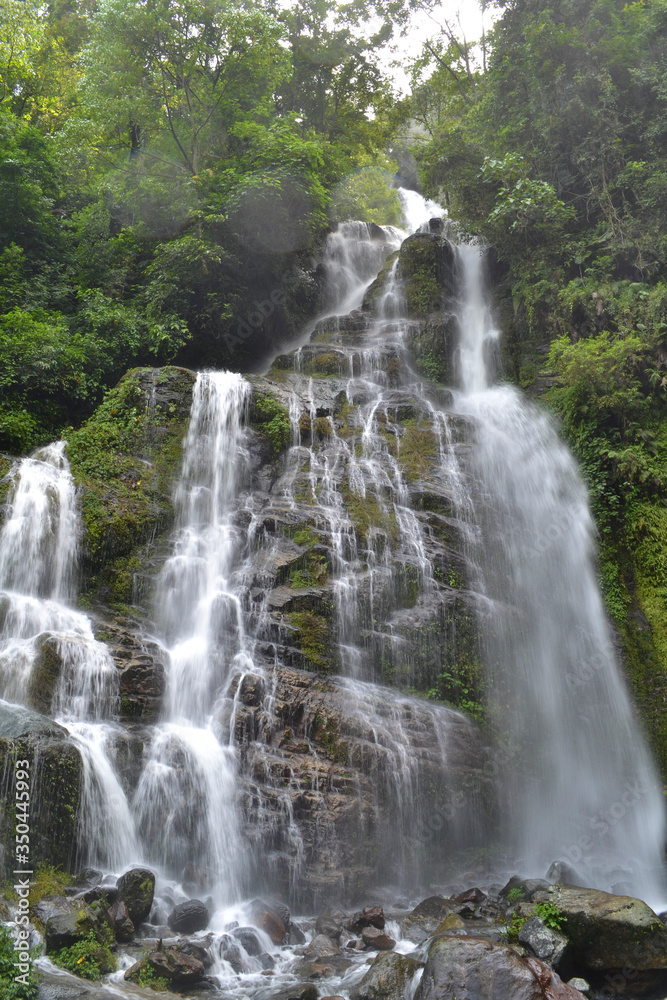 Water fall in the green area of the forest in the Himalayan mountains