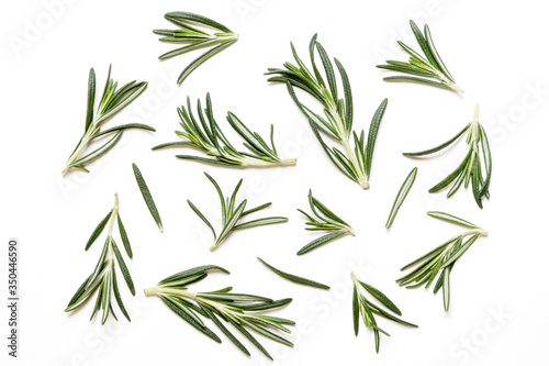 Rosemary twig and leaves isolated on white background. Top view