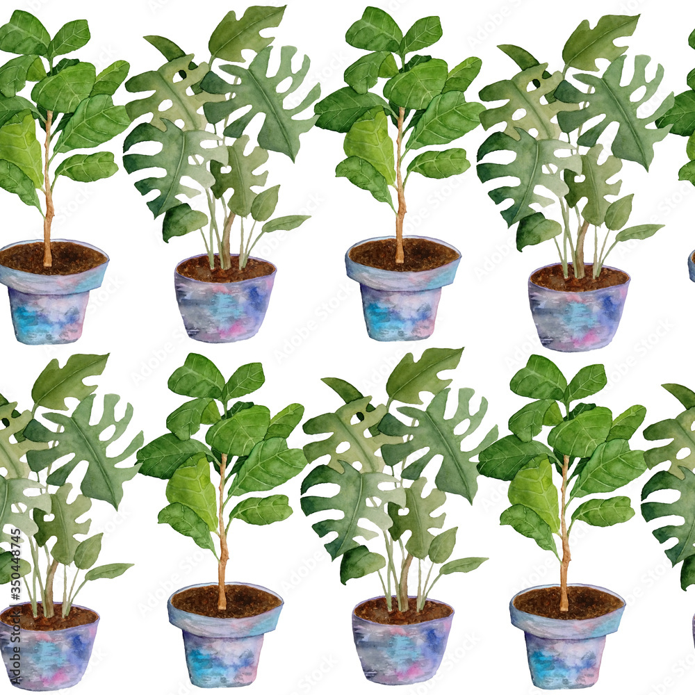 Obraz premium Watercolor seamless hand drawn pattern potted indoor flowers on white isolated background. Monstera fiddle leaf tree ficus. Green foliage grey pink soft pastel violet pots interior design urban jungle