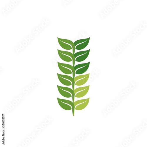 simple green leaf branch logo and vector icon