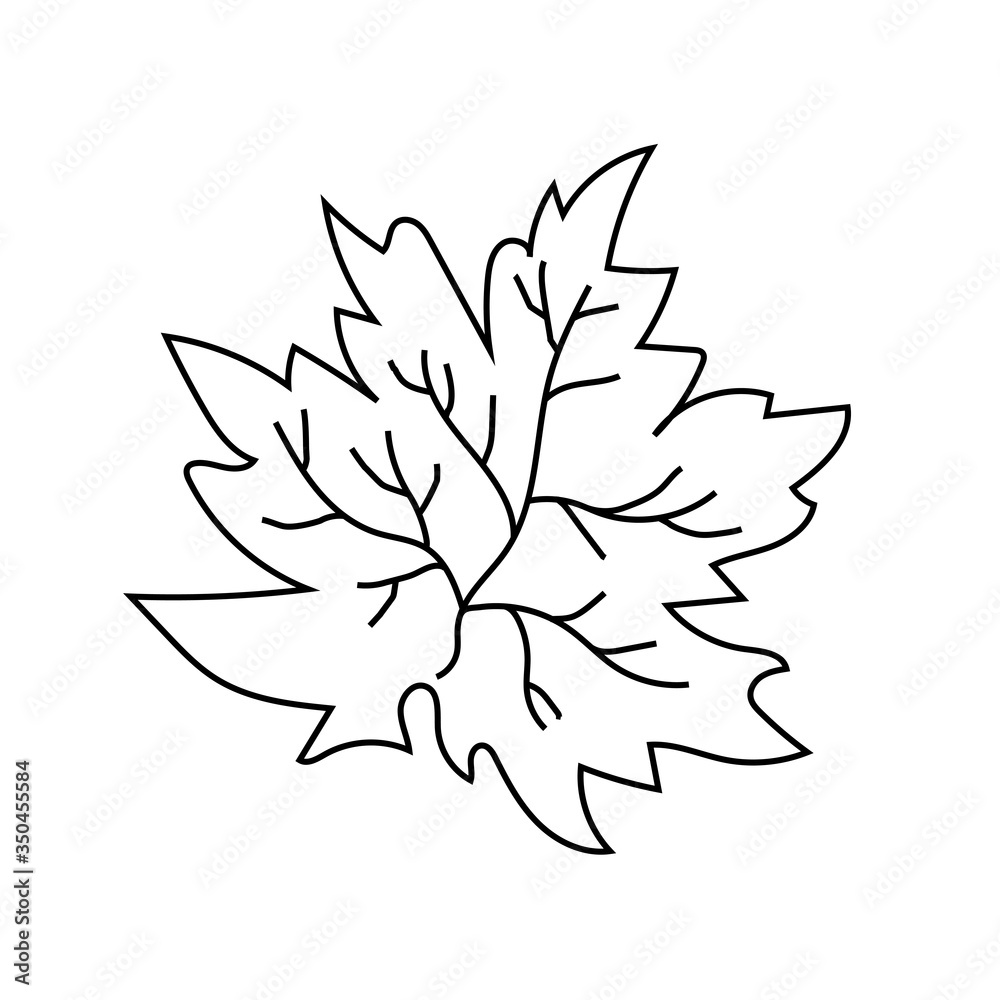 Tree leaf. Maple. Autumn. Vector illustration Tree leaf. Maple. Autumn. Vector illustration