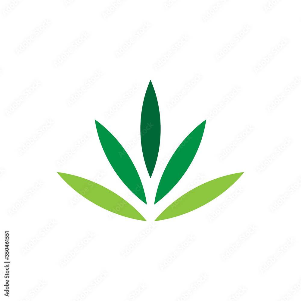 Green leaf logo vector design template Green leaf logo vector design template