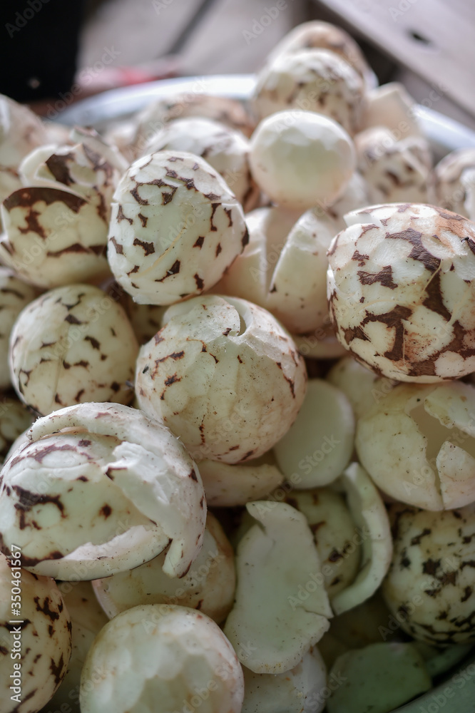 Closeup of coconut seed, raw food ingredient.