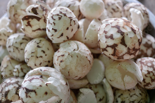 Closeup of coconut seed, raw food ingredient.