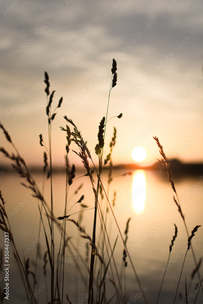 Obraz premium sunset on the lake