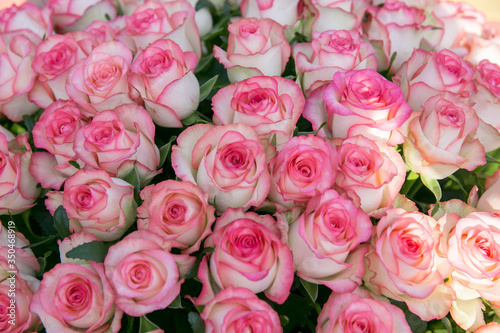 A large bouquet of pink roses.
