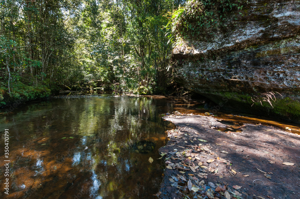 Pond of waterfall in Phu Kradueng National Park Pond of waterfall in Phu Kradueng National Park
