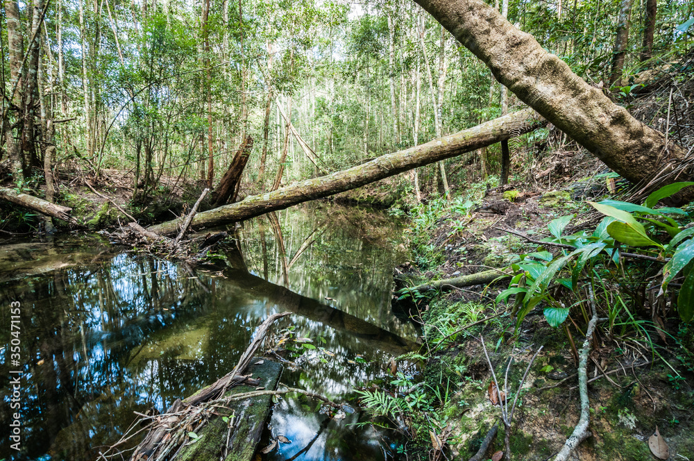 Pond of waterfall in Phu Kradueng National Park Pond of waterfall in Phu Kradueng National Park