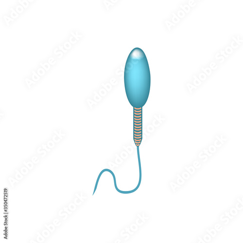 Pathological forms of sperm in the ejaculate. Male infertility Oligospermia. Spermogram. Sperm defects. Infographics. Vector illustration on isolated background.