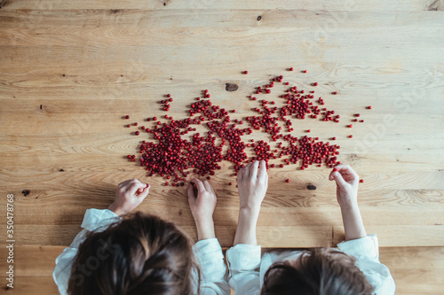 Overhead view of children holding cranberries