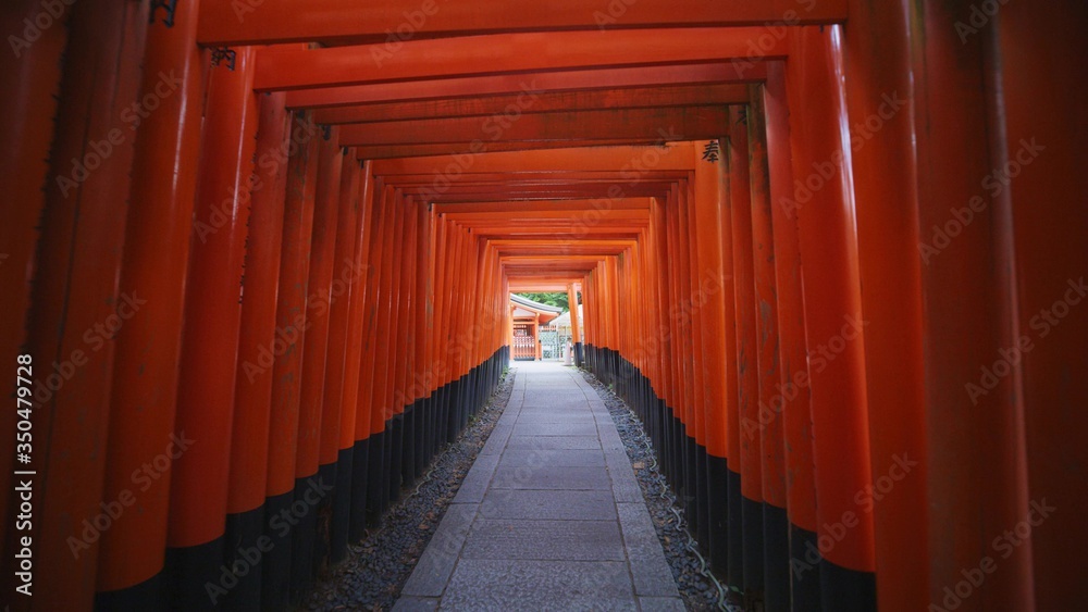 Fushimi Inari-taisha, Torii leading to the shrine. Fushimi, Kyoto, Japan
Fushimi Inari-taisha, Torii leading to the shrine. Fushimi, Kyoto, Japan