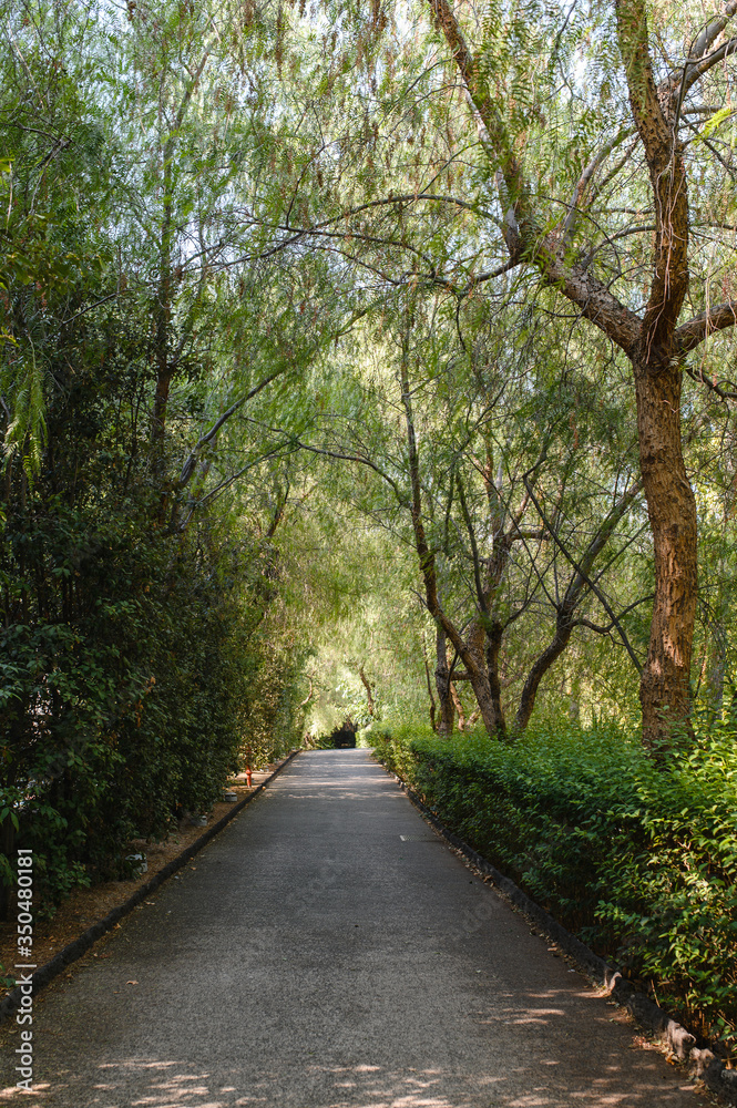 Fototapeta premium Italian streets. Beautiful European street. Incredible atmosphere
