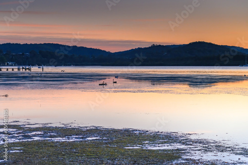 Soft Pink and Black Shades of Sunrise with Birds - Bay Waterscap