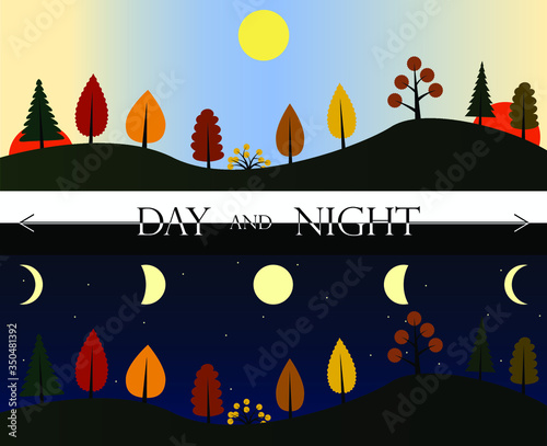 Vector images of oneautumn forest landscape at day and night time, sunrise, sunset and moon cycle in the sky