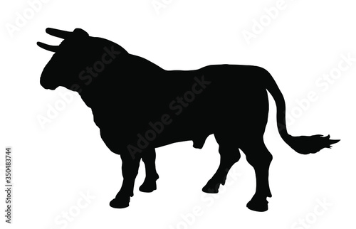 Standing adult bull vector silhouette illustration isolated on white background. Breeding bull.  quality genetic material for insemination. Organic food.  Strong animal for bull fighting Spain corrida