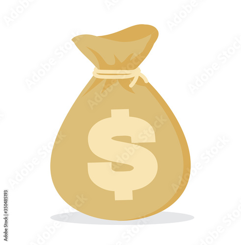 money bag flat  icon vector