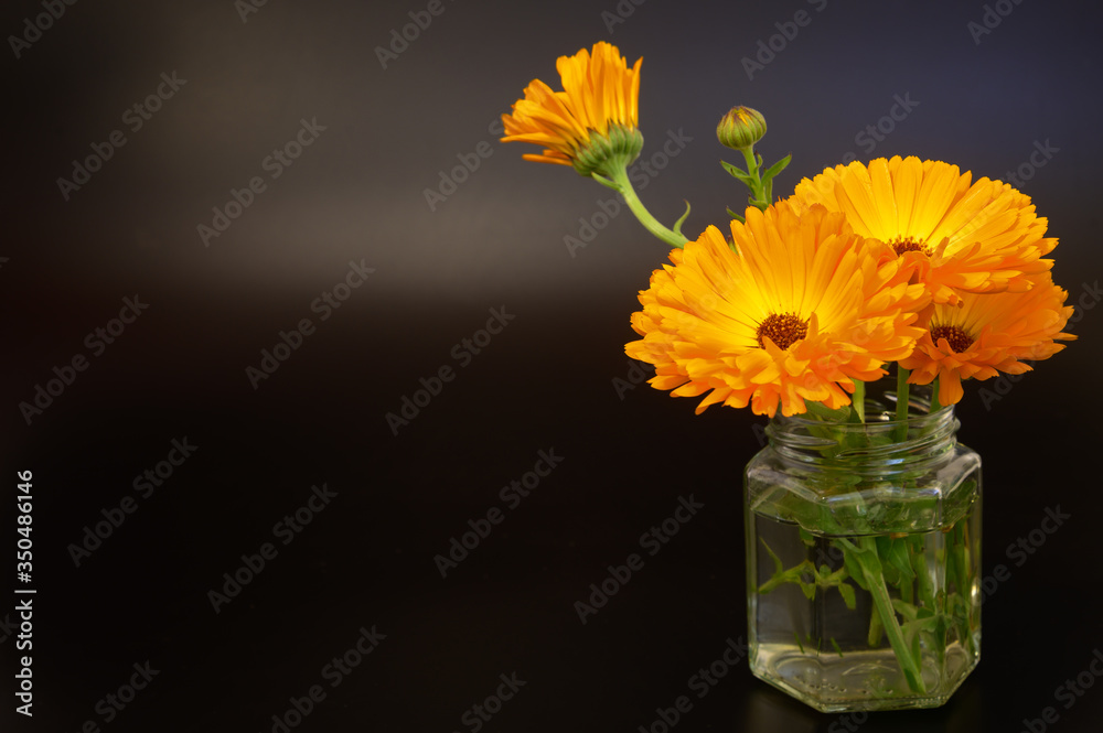 orange ringelblumen in einer Vase