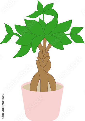 Succulent Lover vector illustration