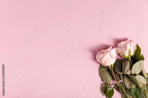 Lovely roses with copy space