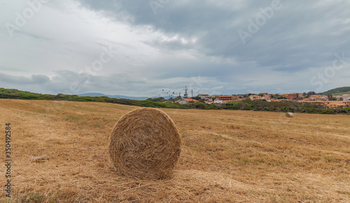 Hay bail harvesting in golden field landscape, south Sardinia
 photo