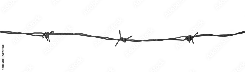 Metal barbed wire isolated on white background close-up.