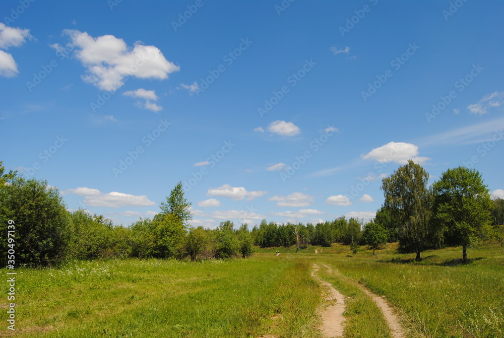 summer landscape with blue sky summer landscape with blue sky