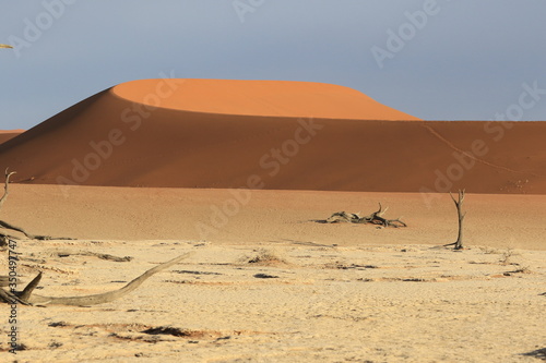 Morgenstimmung mit toten B  umen in Sossusvlei - Namibia  Dead trees in dry clay pan 