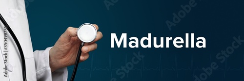 Madurella. Arzt (isoliert) hält Stethoskop in Hand. Begriff steht daneben. Ausschnitt vor blauem Hintergrund mit EKG. Medizin, Gesundheitswesen photo