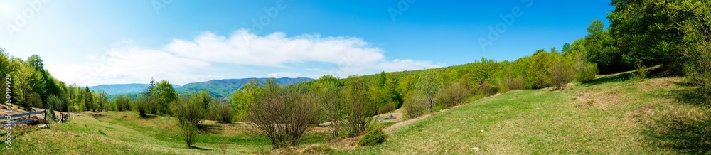 Beautiful rural summer landscape with forest, blue sky and white clouds, panorama. spring landscape with panoramic views of meadow and mountains Beautiful rural summer landscape with forest, blue sky and white clouds, panorama. spring landscape with panoramic views of meadow and mountains