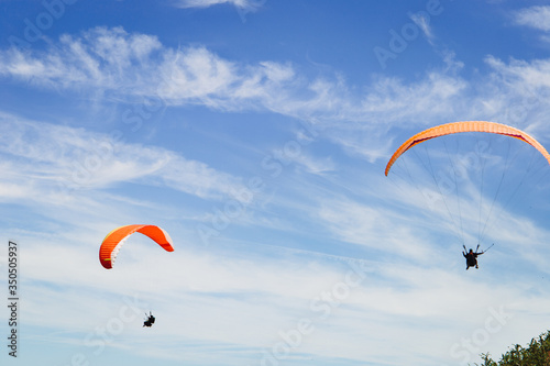 Silhouette of group landing skydivers against the sky. People are gliding using a parachute on the background of the blue sky.