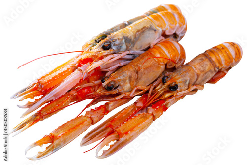 Raw Norway lobster on white background