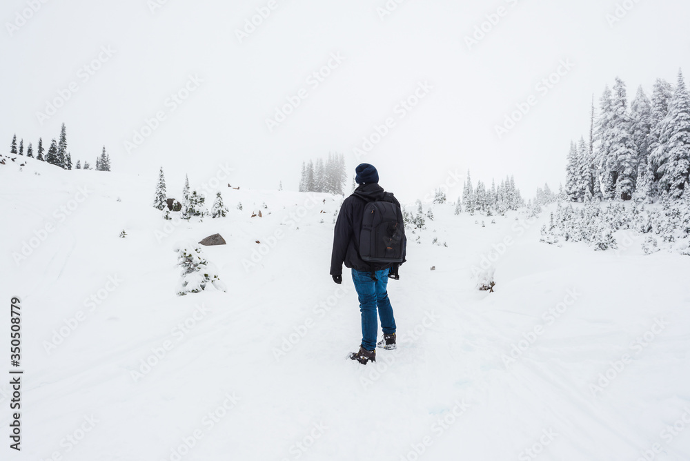 a man stand facing the mountain on a path cover with snow in paradise area,scenic view of mt Rainier National park,Washington,USA.