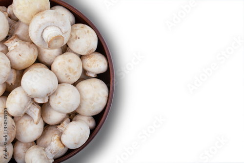 mushrooms in a plate close up on a white isolated background