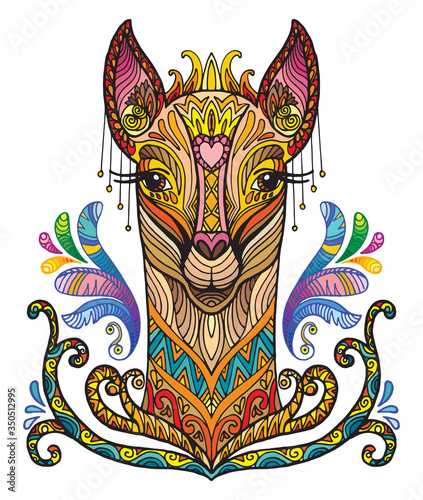 Vector ornamental lama