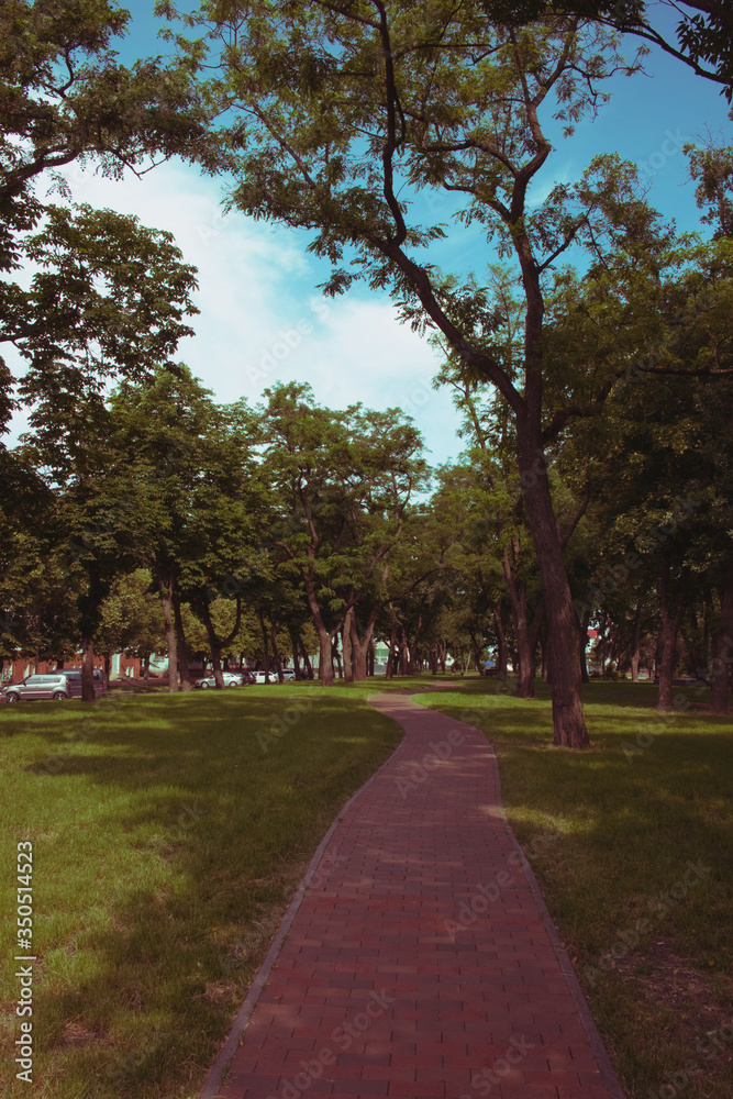 Shady city alley. Cobblestone path among the trees. Shady city alley. Cobblestone path among the trees.