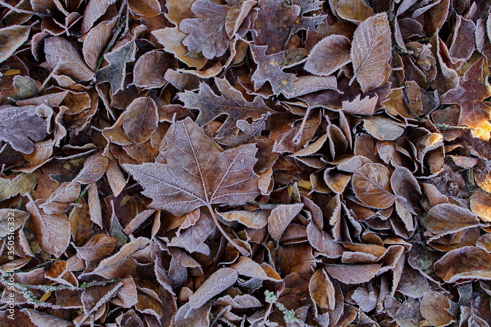 Herbstzeit Herbstzeit